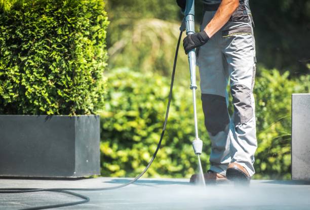 Best Gutter Cleaning  in North Muskegon, MI