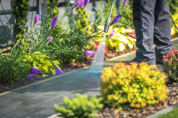 Best Restaurant Pressure Washing  in North Muskegon, MI