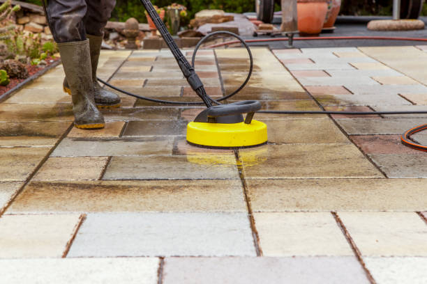 Best Animal Enclosure Cleaning  in North Muskegon, MI